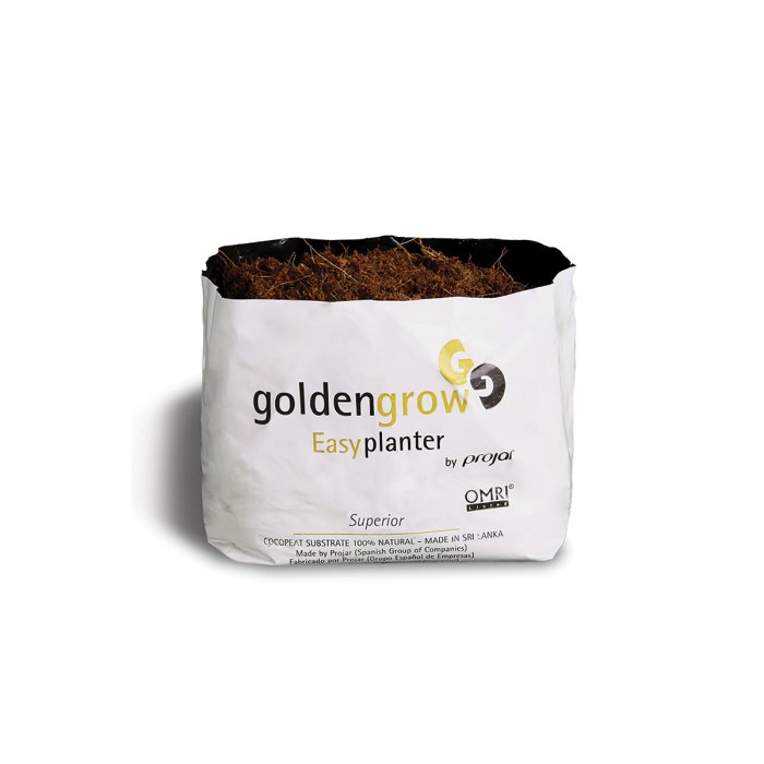 Projar - Golden Grow Easyplanter Superior