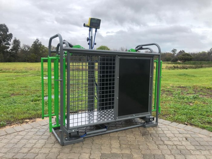 Agritech Steelworks - Sheep Weigh Crate (Standard)