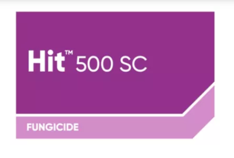 Corteva Agriscience - Hit 500 SC