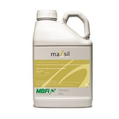 MBFI - maXsil