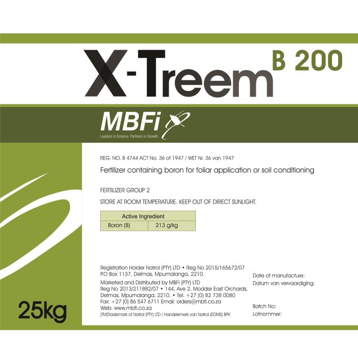 MBFI - X-Treem B 200