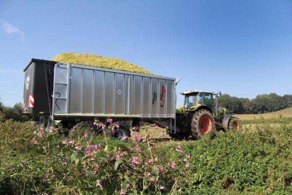 Agri-Afrika - Fliegl Push off Trailer ASW 253